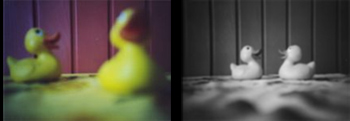 patos.jpg